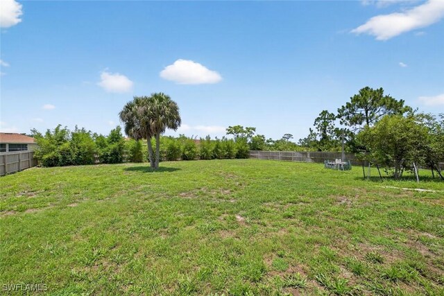509 Scott Ave, Lehigh Acres, FL 33972 - view of yard