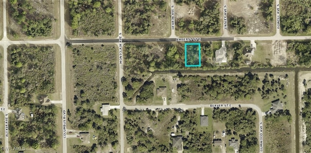 1216 Amherst St E, Lehigh Acres, FL 33974
