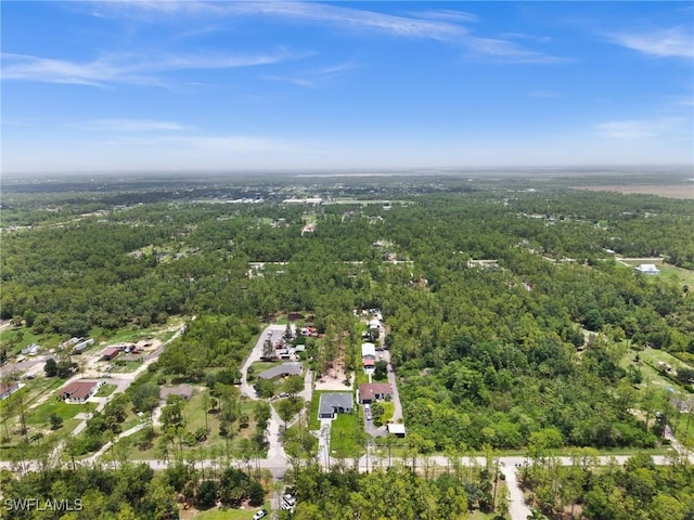 4211 12th Ave NE, Naples, FL 34120 - aerial view of a forest