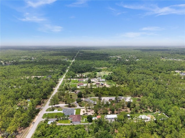 4211 12th Ave NE, Naples, FL 34120 - drone / aerial view of a forest