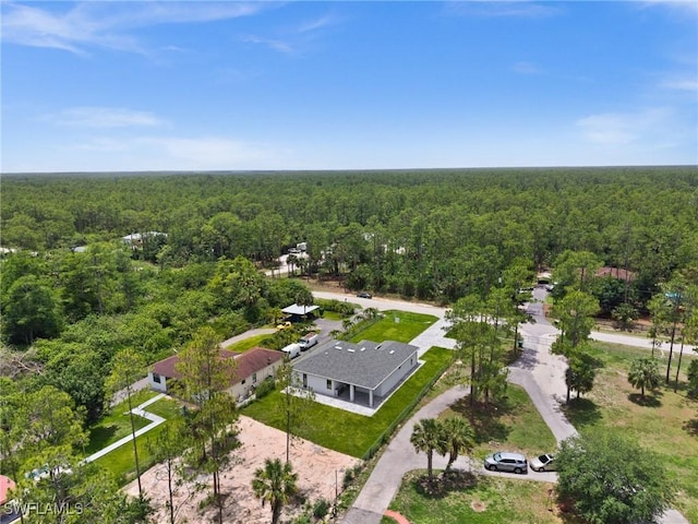 4211 12th Ave NE, Naples, FL 34120 - drone / aerial view of a forest