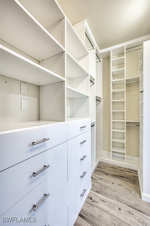 13461 Sabal Pointe Dr, Fort Myers, FL 33905 - spacious closet featuring light wood-type flooring
