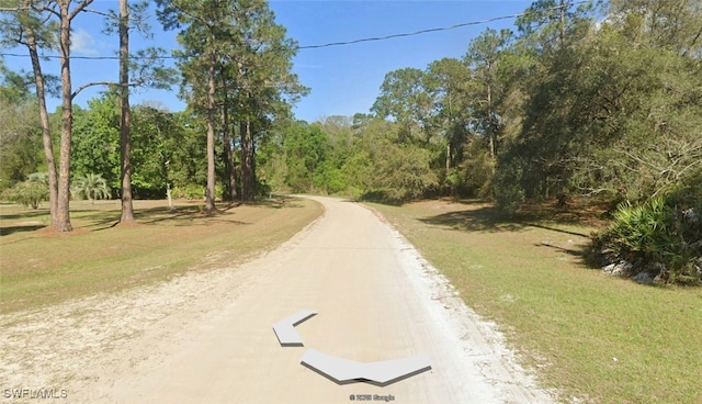 204 Ocala Ct, Georgetown, FL 32139 - photo 2