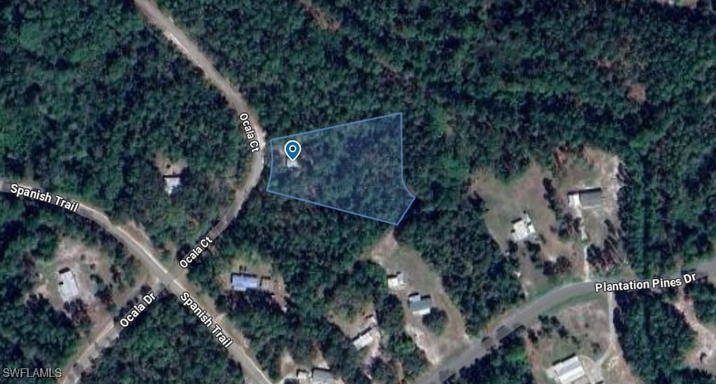 204 Ocala Ct, Georgetown, FL 32139 - photo 1