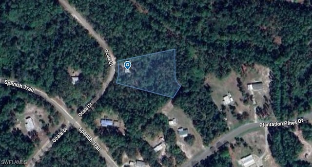 204 Ocala Ct, Georgetown, FL 32139 - photo 1