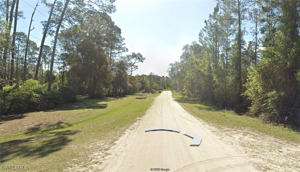 204 Ocala Ct, Georgetown, FL 32139 - photo 3