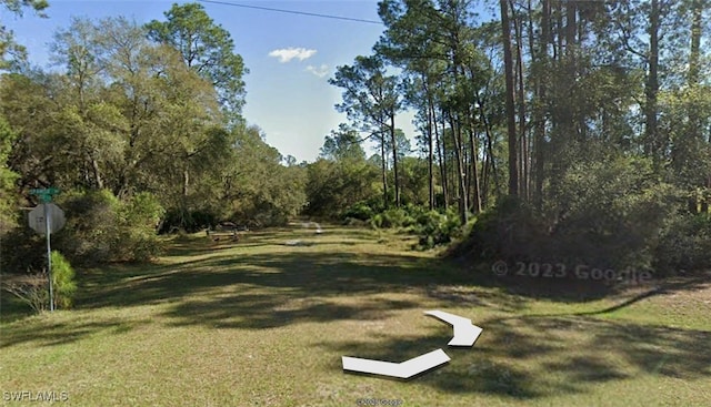 204 Ocala Ct, Georgetown, FL 32139 - photo 4