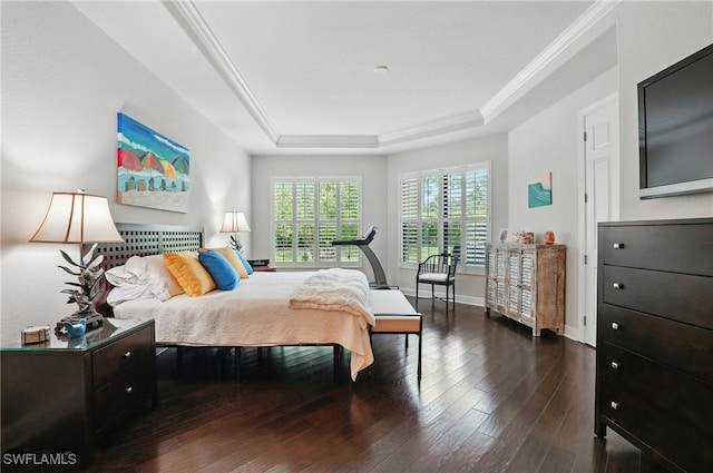 23484 Sanabria Loop, Bonita Springs, FL 34135 - bedroom with a tray ceiling and wood finished floors
