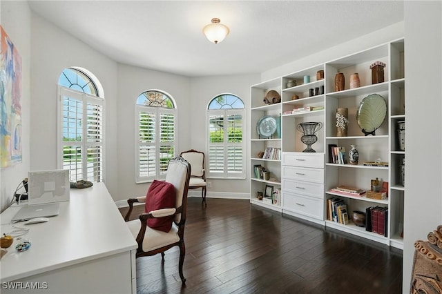 23484 Sanabria Loop, Bonita Springs, FL 34135 - office area featuring dark wood finished floors and baseboards