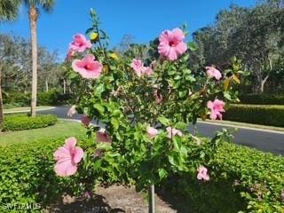 922 Turtle Ct Unit 21-21, Naples, FL 34108 - view of home's community