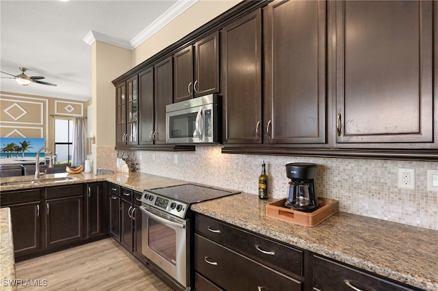 5158 Roma St, Ave Maria, FL 34142 - kitchen featuring stainless steel appliances, a ceiling fan, light stone countertops, dark brown cabinetry, and crown molding