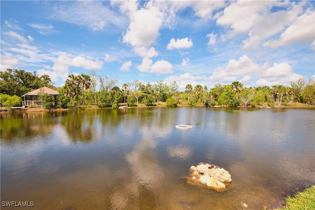 17753 Grande Bayou Ct, Fort Myers, FL 33908 - photo 45