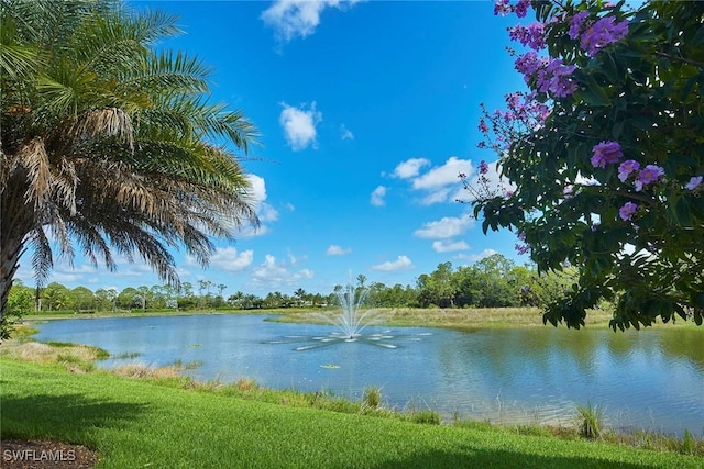 1633 Songbird Ct, Naples, FL 34120 - photo 45