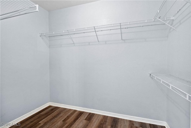 1023 SE 6th St, Cape Coral, FL 33990 - walk in closet with dark wood finished floors