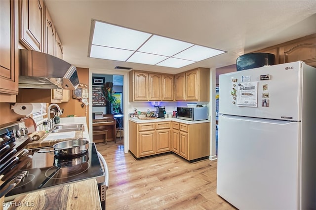 5554 Hamlet Ln, Fort Myers, FL 33919 - kitchen featuring stainless steel appliances, ventilation hood, light wood-style flooring, and light countertops