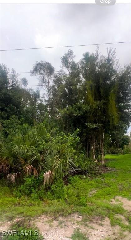 712 Crestline Ave S, Lehigh Acres, FL 33974