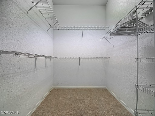2050 Rio Nuevo Dr, North Fort Myers, FL 33917 - spacious closet with carpet