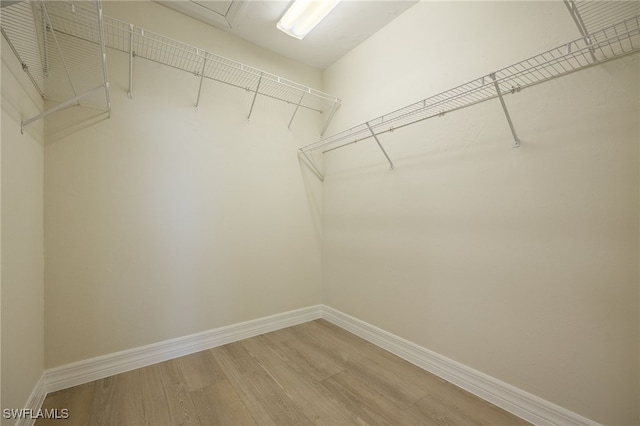 1167 SW 57th St, Cape Coral, FL 33914 - walk in closet with light wood-type flooring