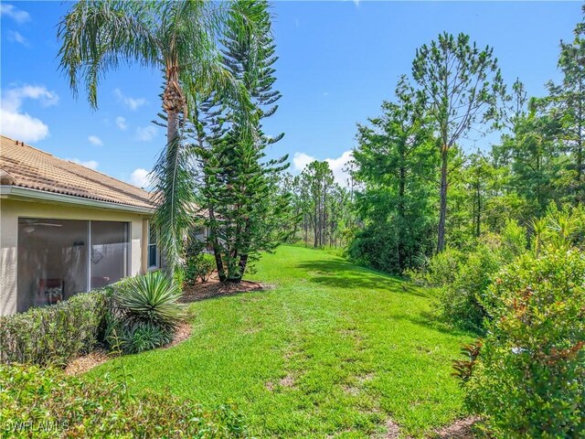 20698 Marathona Ct, North Fort Myers, FL 33917 - view of green lawn