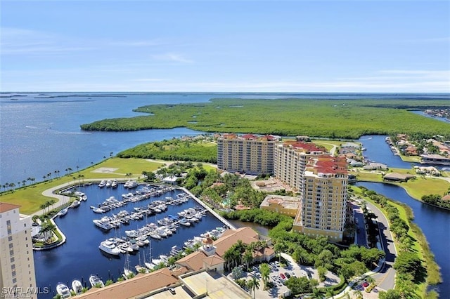 6081 Silver King Blvd Unit 503, Cape Coral, FL 33914 - photo 1