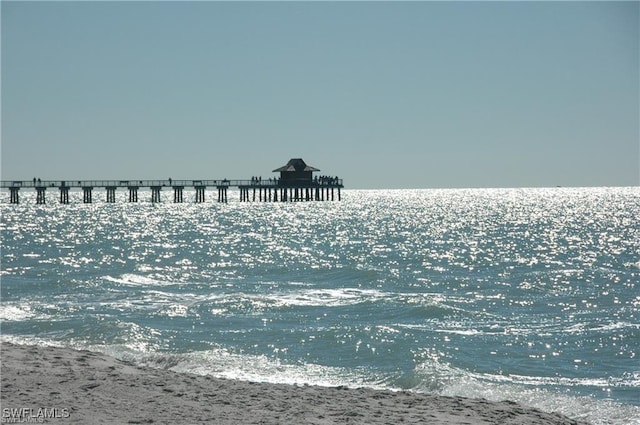 2396 Hidden Lake Dr Unit 3, Naples, FL 34112 - water view featuring a pier