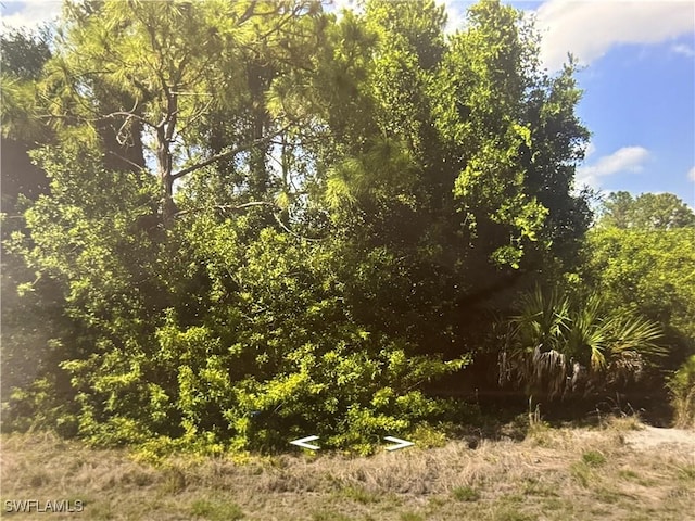 875 Haskell St E, Lehigh Acres, FL 33974