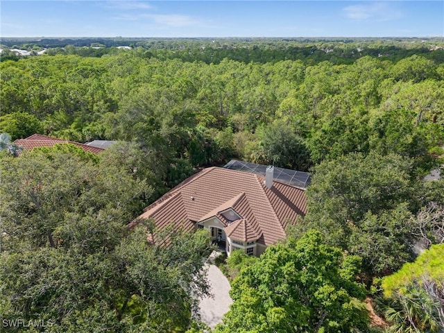 24881 Pennyroyal Dr, Bonita Springs, FL 34134 - view from above of property featuring a heavily wooded area