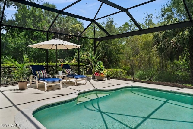 24881 Pennyroyal Dr, Bonita Springs, FL 34134 - swimming pool featuring a patio and glass enclosure