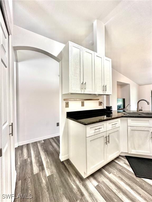 2675 70th Ave NE, Naples, FL 34120 - kitchen with dark wood-style flooring, arched walkways, lofted ceiling, white cabinets, and dark countertops