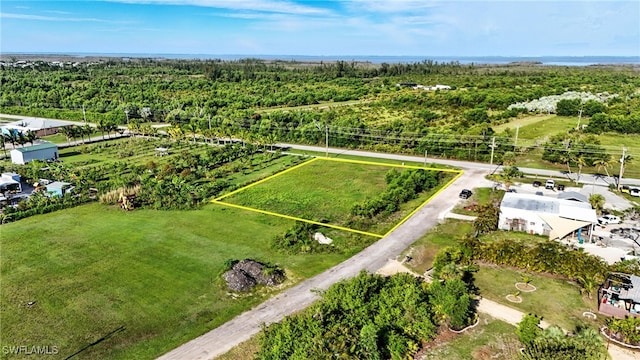 8288 Stringfellow Rd, Saint James City, FL 33956 - photo 16