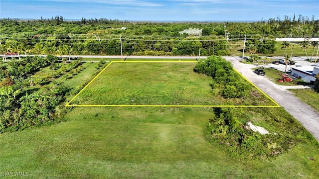 8288 Stringfellow Rd, Saint James City, FL 33956 - photo 14
