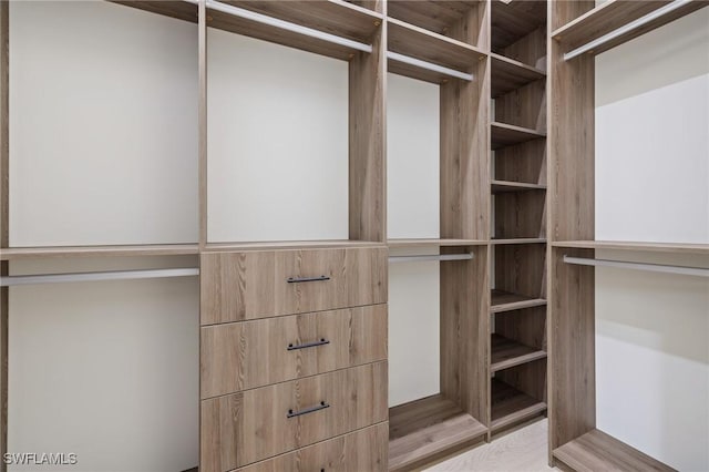 3620 SW 4th Ln, Cape Coral, FL 33991 - view of spacious closet