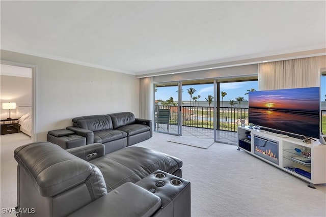 1080 S Collier Blvd Unit 305, Marco Island, FL 34145 - carpeted living area featuring crown molding