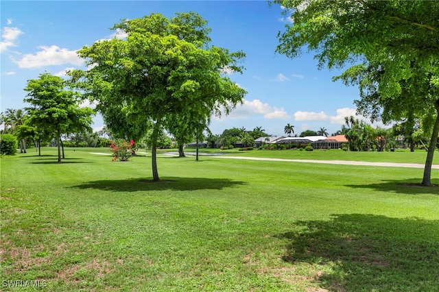 283 Forest Hills Blvd, Naples, FL 34113 - photo 38