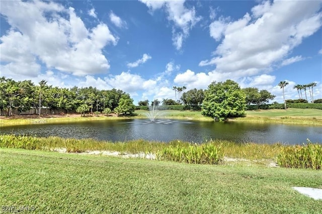 20250 Burnside Pl Unit 1502, Estero, FL 33928 - water view