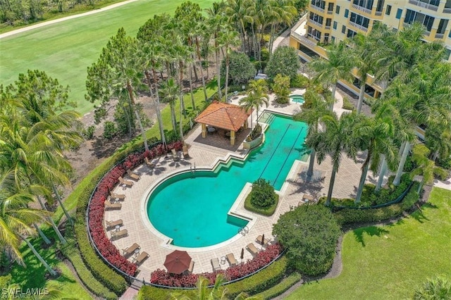 2738 Tiburon Blvd E Unit B406, Naples, FL 34109 - community pool with a gazebo