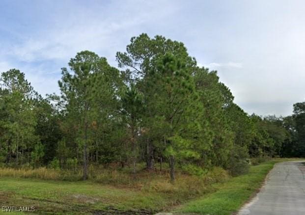 274 Spoonbill Drive, Kissimmee, FL 34759 - photo 2