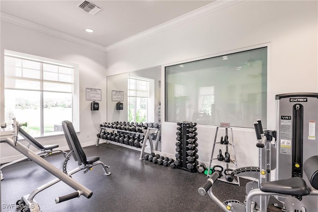 15139 Ligustrum Ln, Alva, FL 33920 - workout area with ornamental molding and recessed lighting