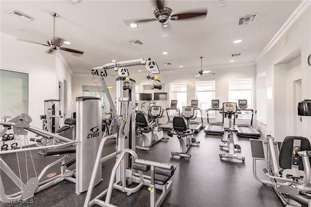 15139 Ligustrum Ln, Alva, FL 33920 - gym with a ceiling fan, ornamental molding, and recessed lighting
