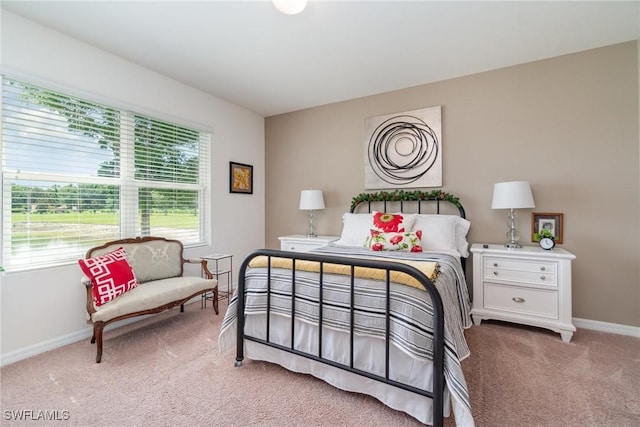 20095 Fiddlewood Ave, North Fort Myers, FL 33917 - bedroom with light colored carpet and baseboards
