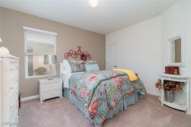 20095 Fiddlewood Ave, North Fort Myers, FL 33917 - bedroom with carpet flooring
