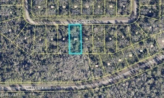 381 Walsh Cir, Lehigh Acres, FL 33972