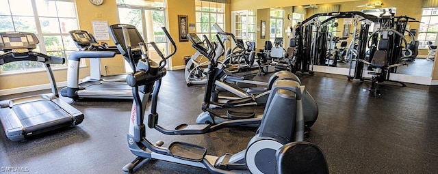 14031 W Hyde Park Dr Unit 201, Fort Myers, FL 33912 - workout area with plenty of natural light