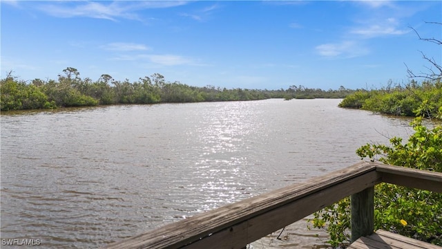10521 Amberjack Way Unit 303, Englewood, FL 34224 - photo 28