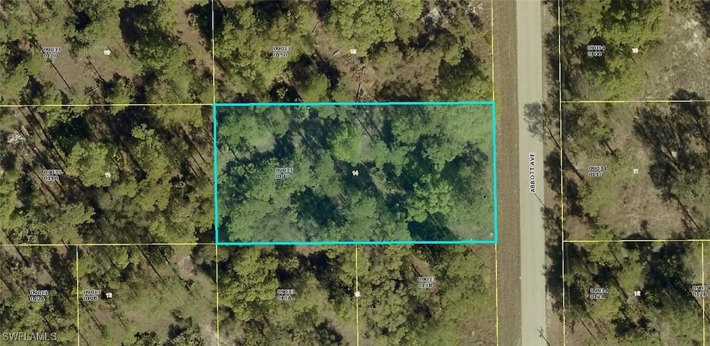 1003 Abbott Ave, Lehigh Acres, FL 33972