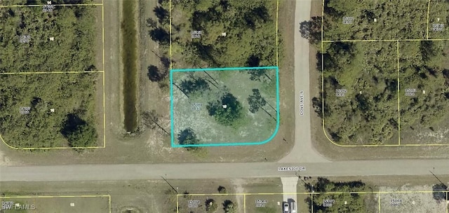 466 Dove Ave, Lehigh Acres, FL 33974 - photo 1