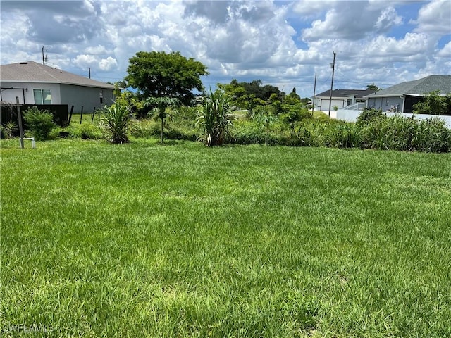 4208 28th St SW, Lehigh Acres, FL 33976 - view of yard