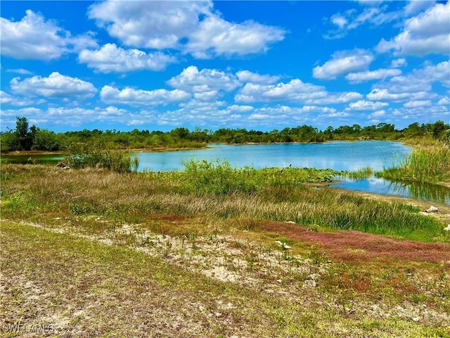 8000 Fountain Mist Blvd, Lehigh Acres, FL 33972 - water view