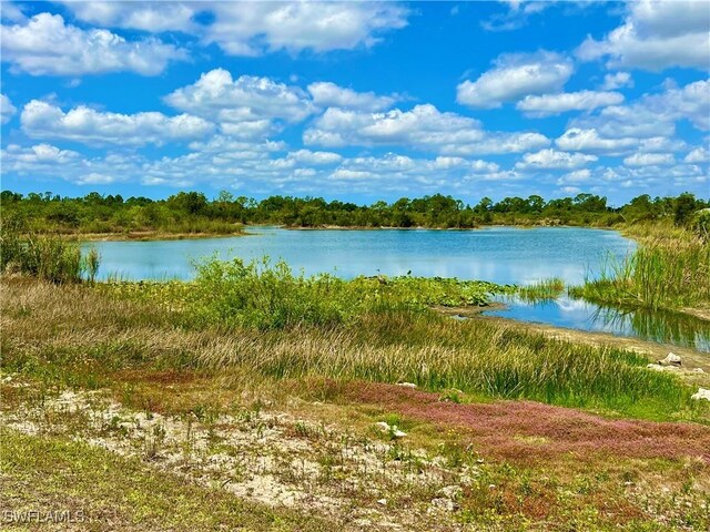 8000 Fountain Mist Blvd, Lehigh Acres, FL 33972 - water view