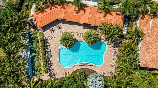 28082 Sosta Ln Unit 2, Bonita Springs, FL 34135 - aerial view of a pool area
